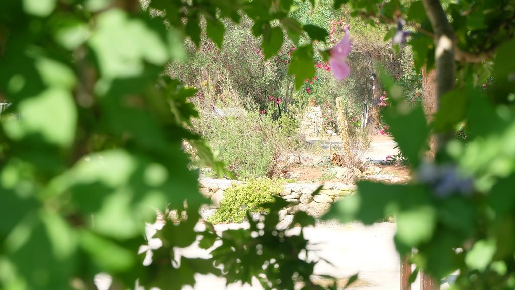 Апартаменты Oasi San Pio Порто-Чезарео Экстерьер фото